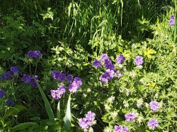 Rita offene Gartentor